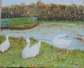 Cygne Honfleur10.jpg